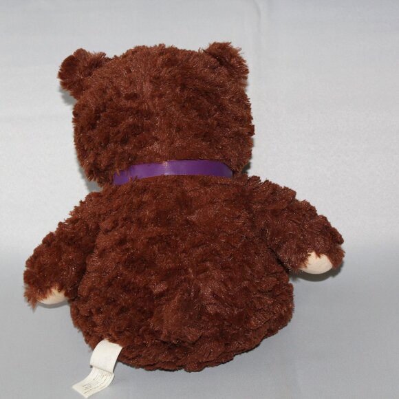 Starlight "Hiya" Bear | Starlight Foundation & Toys "R" Us Vintage 2014 Plush - Picture 4 of 14